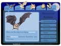 ICT Games: Nocturnal Animals